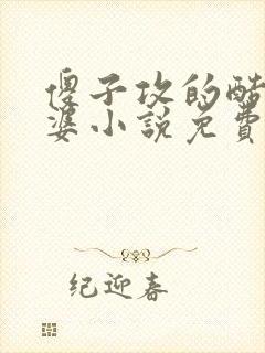 傻子攻的酷哥老婆小说免费阅读最新章节列表