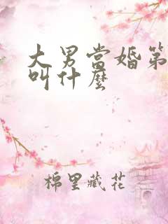 大男当婚第二部叫什么