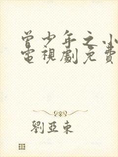 曾少年之小时候电视剧免费观看完整版高清