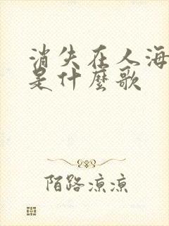消失在人海尽头是什么歌