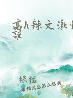 高h辣文激情小说