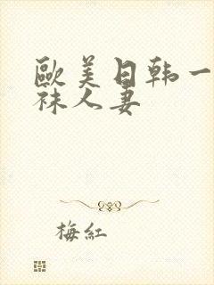 欧美日韩一区丝袜人妻