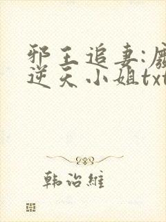 邪王追妻:废材逆天小姐txt