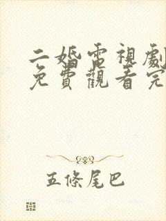 二婚电视剧全集免费观看完整版高清