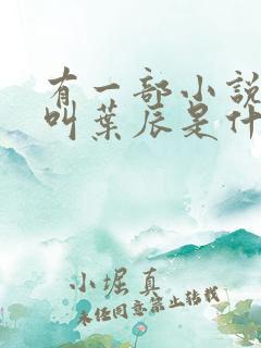 有一部小说主角叫叶辰是什么小说