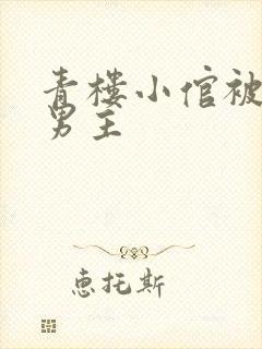 青楼小倌被宠双男主