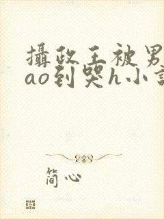 摄政王被男人cao到哭h小说