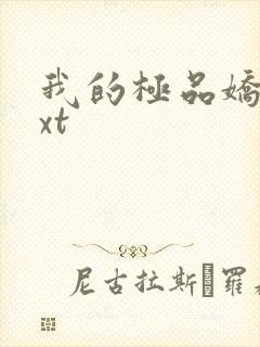 我的极品娇妻txt