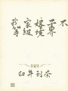 我家娘子不对劲等级境界