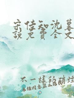 宋佳知沈暮安小说免费全文阅读