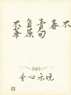 不负青春不负韶华原句