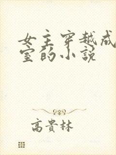 女主穿越成了外室的小说