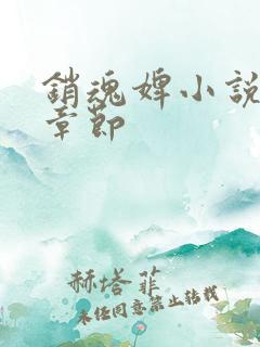 销魂婢小说最新章节