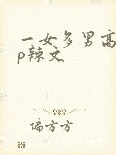 一女多男高hnp辣文