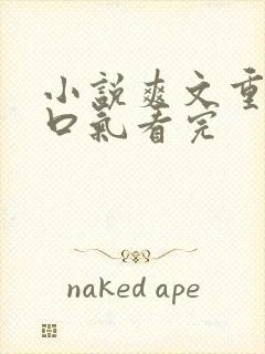 小说爽文重生一口气看完