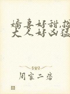 娇妻好甜,总裁大人好凶猛