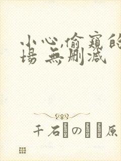 小心,偷窥的下场 无删减