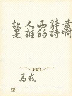 故人西辞黄鹤楼是谁的诗啊