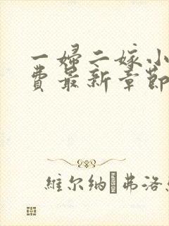 一妇二嫁小说免费最新章节