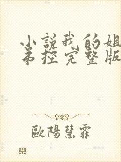 小说我的姐姐很弟控完整版