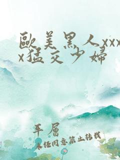 欧美黑人xxxx猛交少妇