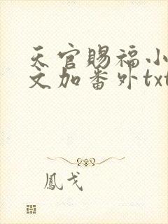 天官赐福小说全文加番外txt