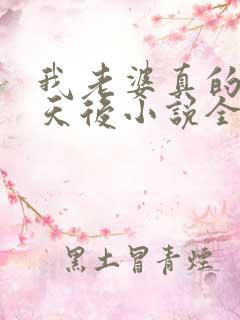 我老婆真的不是天后小说全集阅读