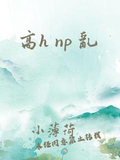 高h np 乱