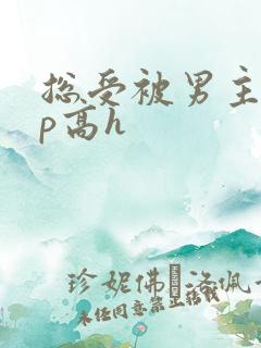 总受被男主们np高h