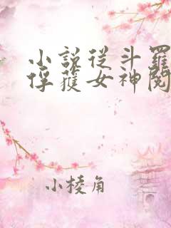 小说从斗罗开始俘获女神阅读