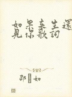 如果来生还能遇见你歌词