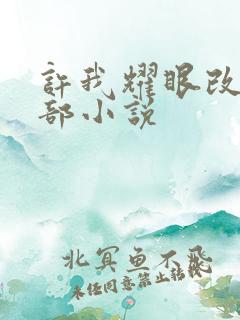 许我耀眼改编哪部小说