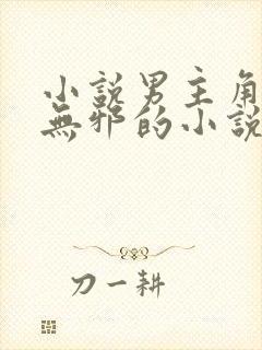 小说男主角叫柳无邪的小说