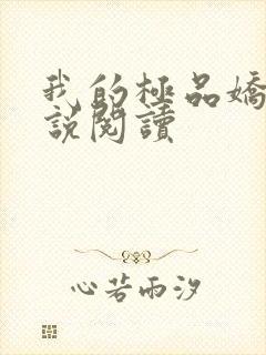 我的极品娇妻小说阅读