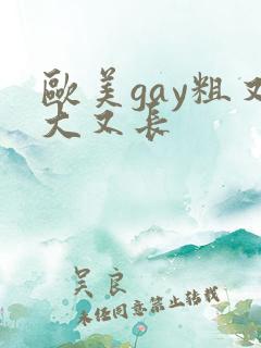 欧美gay粗又大又长