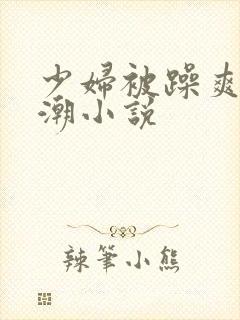 少妇被躁爽到高潮小说