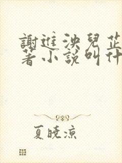 谢进泱儿芷妃原著小说叫什么名字