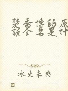 楚乔传的原著小说全名是什么啊