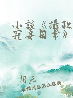 小说《摄政王的宠妻日常》