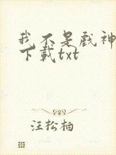 我不是戏神小说下载txt
