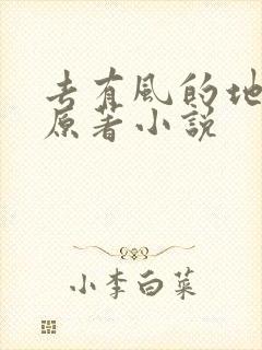去有风的地方是原著小说