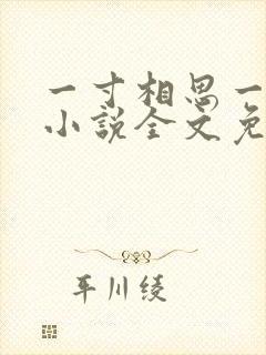 一寸相思一寸灰小说全文免费阅读