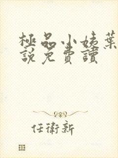 极品小姨叶凡小说免费读