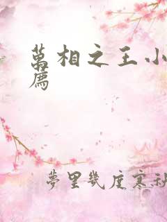 万相之王小说推荐