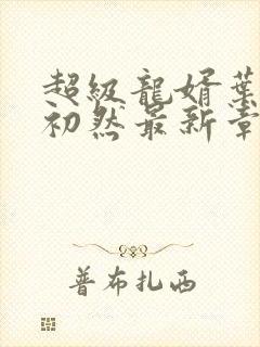 超级龙婿叶辰萧初然最新章节