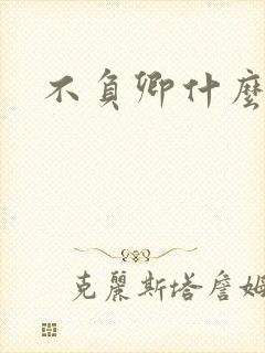 不负卿什么意思