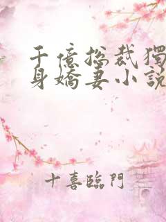 千亿总裁独宠替身娇妻小说阅读全文