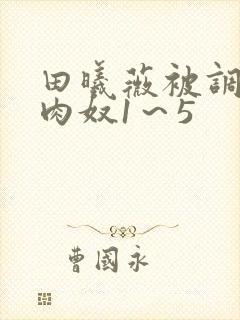 田曦薇被调教成肉奴1～5