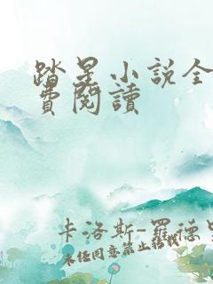 踏星小说全文免费阅读