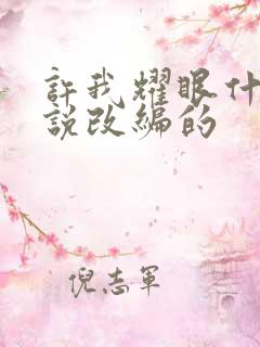 许我耀眼什么小说改编的